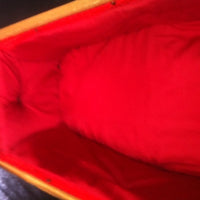 Halloween Coffin - Lined