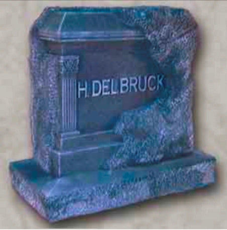 H. Delbruck Tombstone