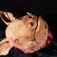Rancid Rudy Pig Head